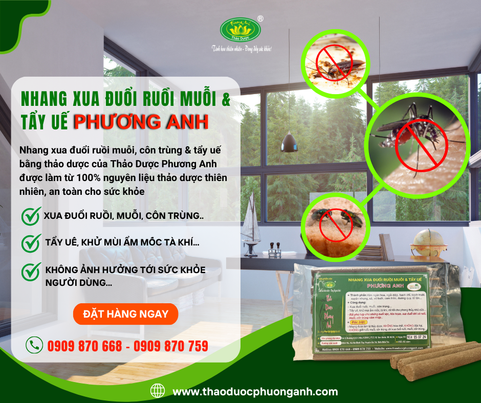 nhang đuổi muỗi 4