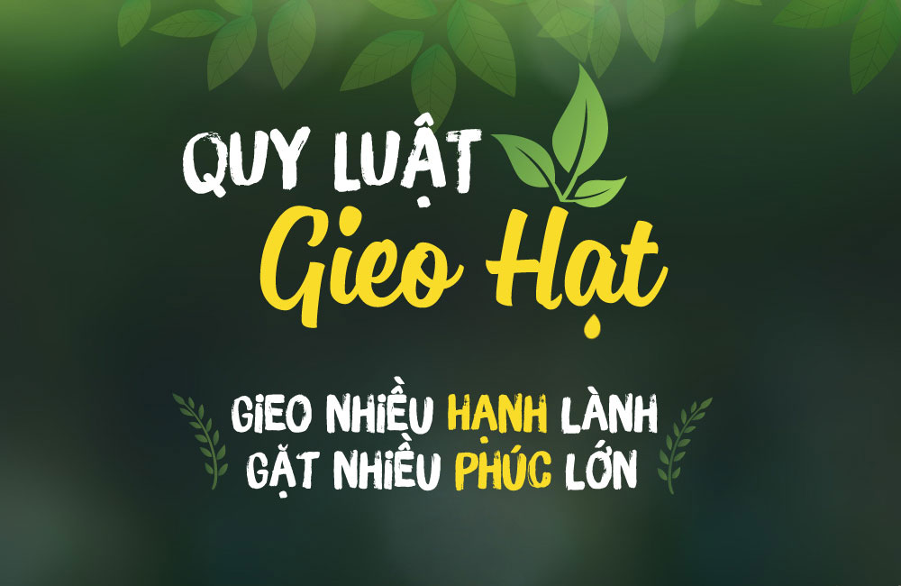 quy luat gieo hat banner mobile