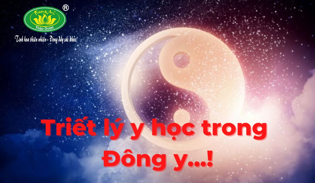triet ly y hoc trong dong y